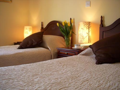 Dun Ri Guesthouse Clifden Δωμάτιο φωτογραφία
